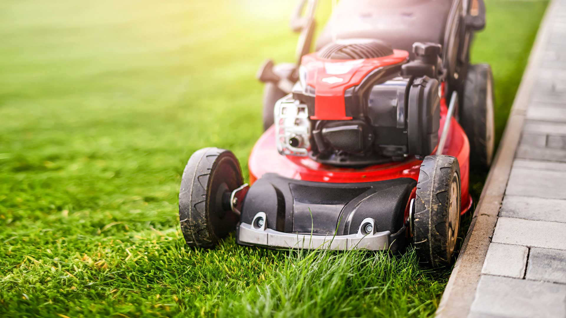 Lawnmower: Lawn and Garden industry